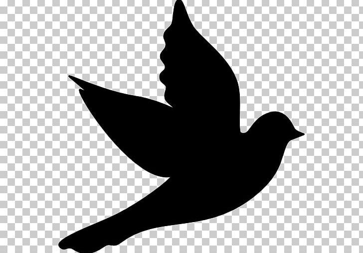 Columbidae Doves As Symbols Computer Icons PNG, Clipart, Animal, Animals, Artwork, Beak, Bird Free PNG Download