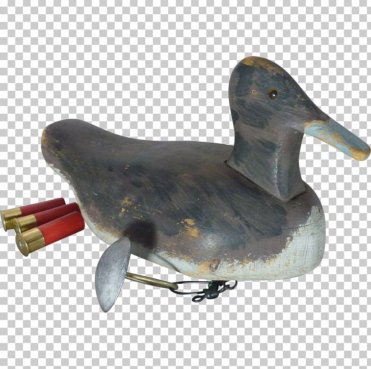 Duck Water Bird Anatidae Goose PNG, Clipart, Anatidae, Animals, Beak, Bird, Carve Free PNG Download