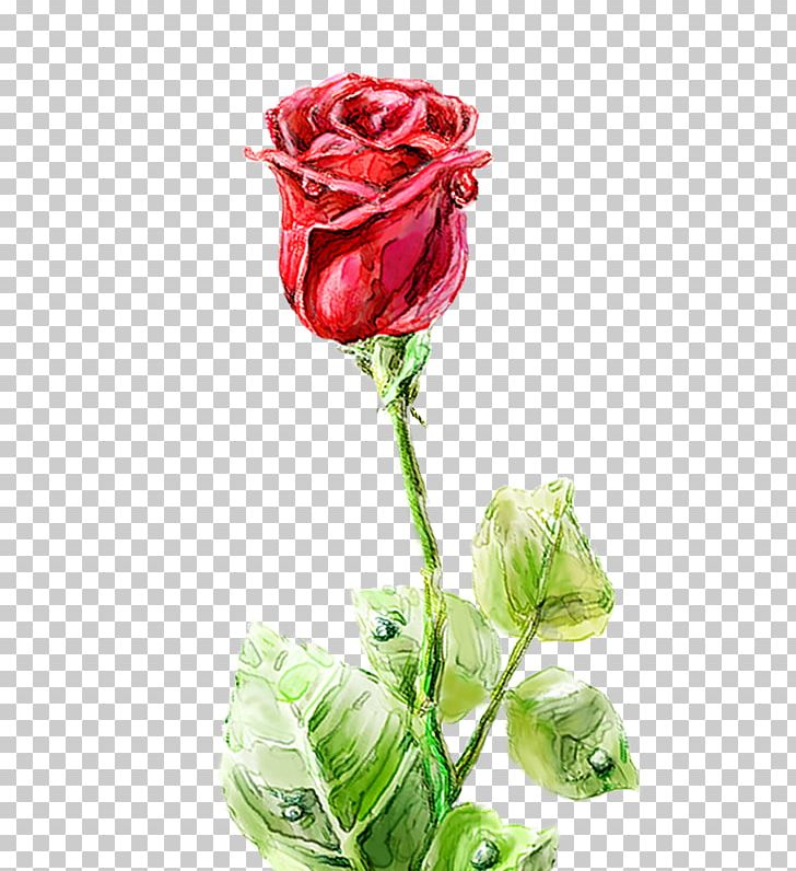 Garden Roses Centifolia Roses Floral Design Vase Cut Flowers PNG, Clipart, Artificial Flower, Computer Icons, Cosmetic, Cut Flowers, Decorative Pattern Free PNG Download