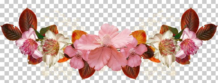 Petal Floral Design Pink M Flowering Plant PNG, Clipart, Art, Blossom, Branch, Branching, Flora Free PNG Download