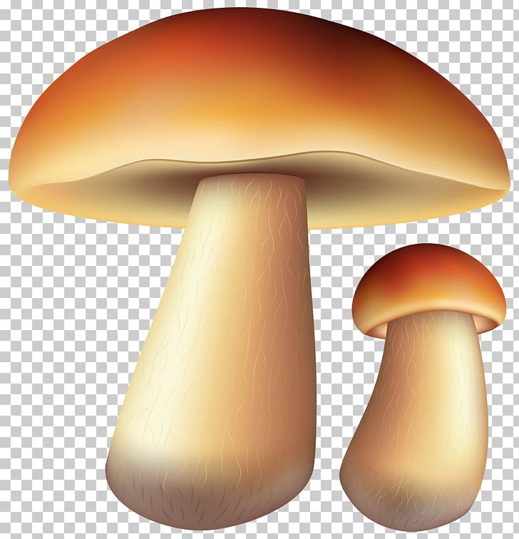 Edible Mushroom Oyster Mushroom Fungus Pleurotus Eryngii PNG, Clipart, Aspen Mushroom, Autumn, Cari, Chanterelle, Edible Mushroom Free PNG Download