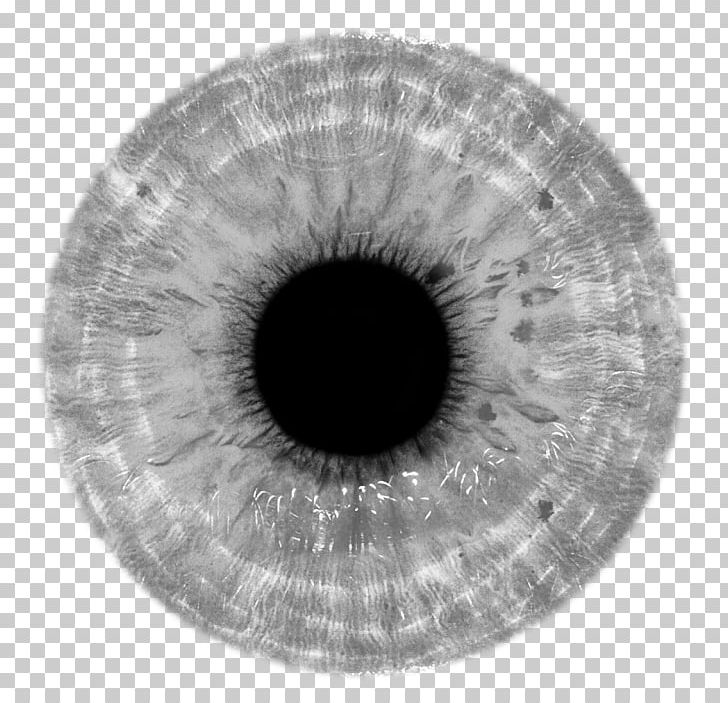 Human Eye Contact Lenses Iris PNG, Clipart, Black And White, Circle, Closeup, Contact Lenses, Desktop Wallpaper Free PNG Download