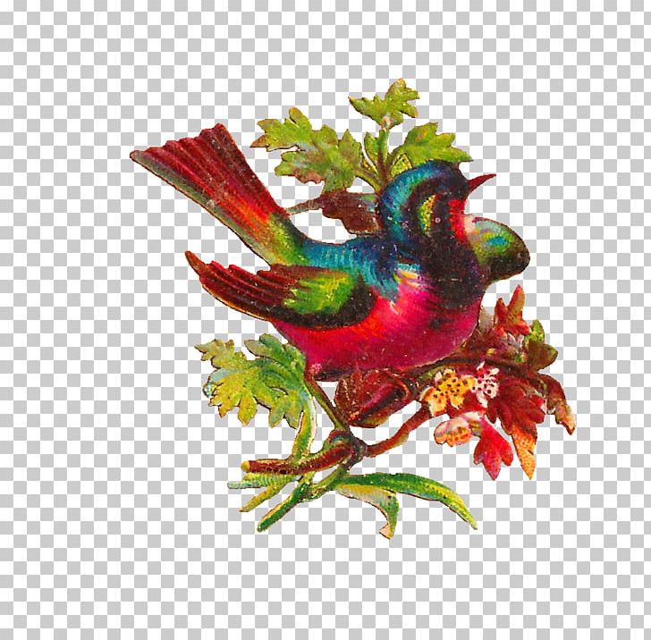 Lovebird Parrot PNG, Clipart, Antique, Beak, Bird, Birdcage, Bird Nest Free PNG Download