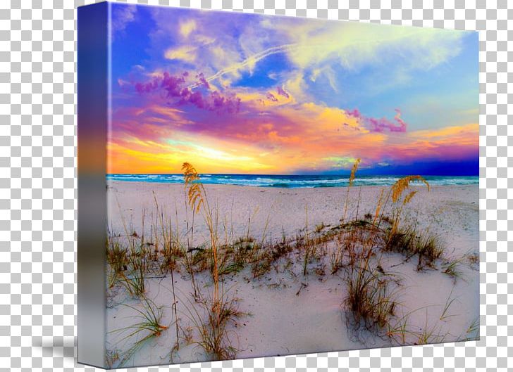 Shore Sunrise Beach Blue Sea PNG, Clipart, Art, Beach, Blue, Calm, Ecoregion Free PNG Download