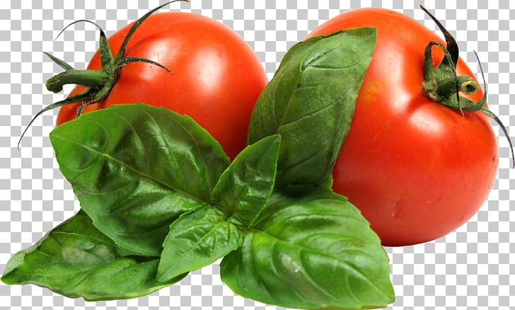 Tomato PNG, Clipart, Tomato Free PNG Download