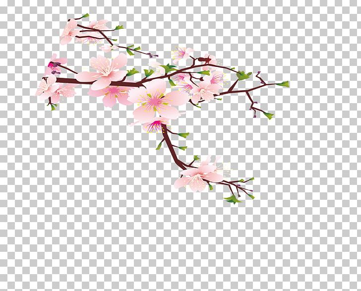 Wall Bird Room Peach Flower PNG, Clipart, Bedroom, Bird, Birdandflower Painting, Blossom, Blossoms Free PNG Download