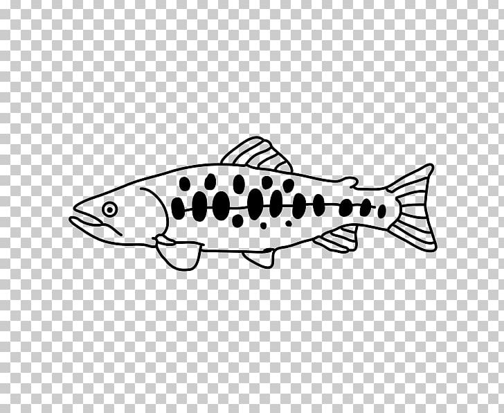 Oncorhynchus Masou Formosanus Chinese Wikipedia Fish January PNG, Clipart, 10 January, 2016, Animals, Area, Black And White Free PNG Download