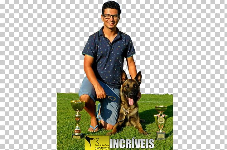 Tavira Obedience Training Escola De Cães PNG, Clipart, Algarve, Canine, Coach, Coaching, Dog Free PNG Download