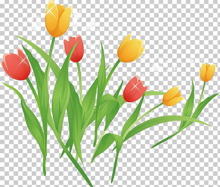 Tulip Cartoon PNG, Clipart, Color, Cut Flowers, Decoration, Download, Flower Free PNG Download