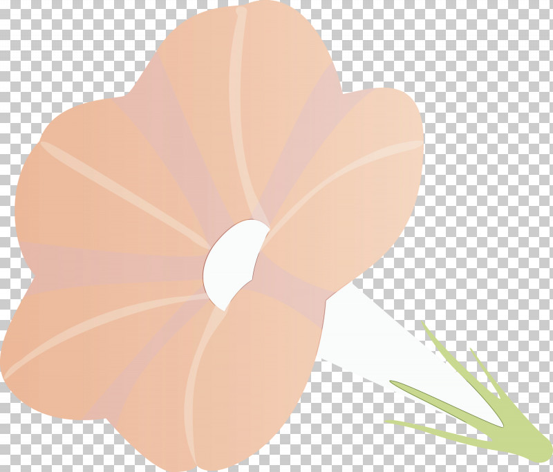 Petal Flower Plant Leaf Peach PNG, Clipart, Flower, Herbaceous Plant, Leaf, Morning Glory Flower, Paint Free PNG Download