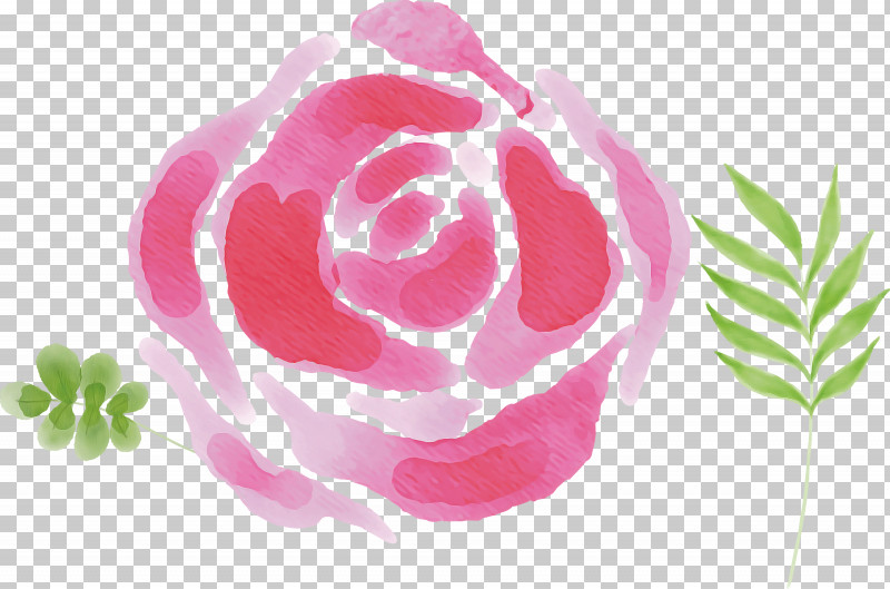 Garden Roses PNG, Clipart, Cabbage Rose, Flower, Garden, Garden Roses, Petal Free PNG Download