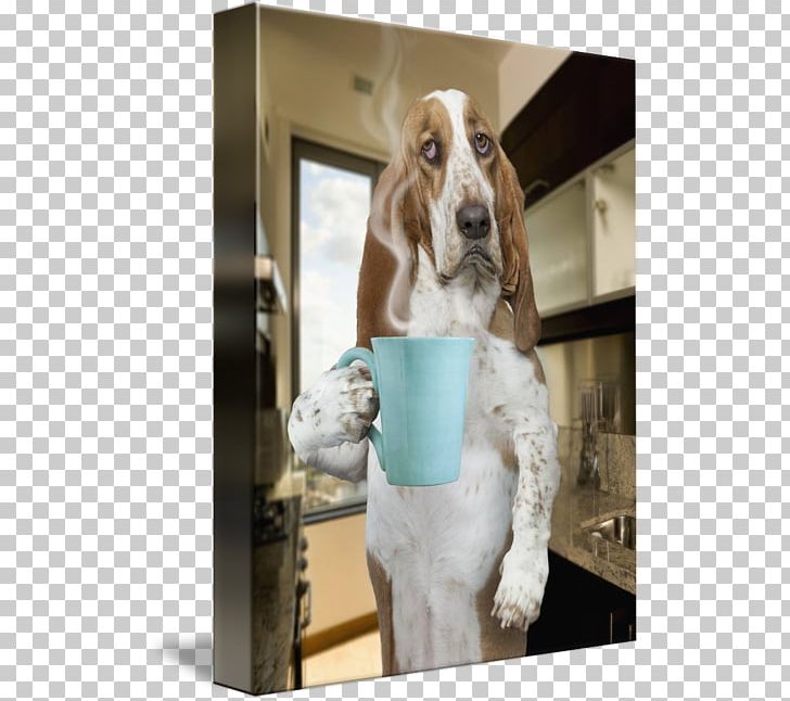 Basset Hound American Foxhound Treeing Walker Coonhound Dog Breed Puppy PNG, Clipart, American Foxhound, Basset Hound, Black And Tan Coonhound, Coffee, Dog Free PNG Download