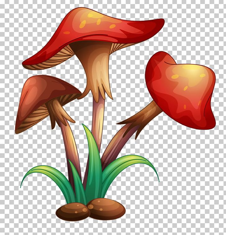 Mushroom Illustrator PNG, Clipart, Amanita Muscaria, Flower, Flowering Plant, Flowerpot, Illustrator Free PNG Download