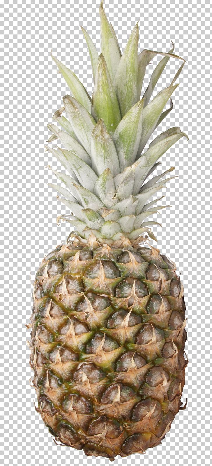 Pineapple Fruit July PNG, Clipart, Ananas, Bromeliaceae, Food, Fruit, Fruit Nut Free PNG Download
