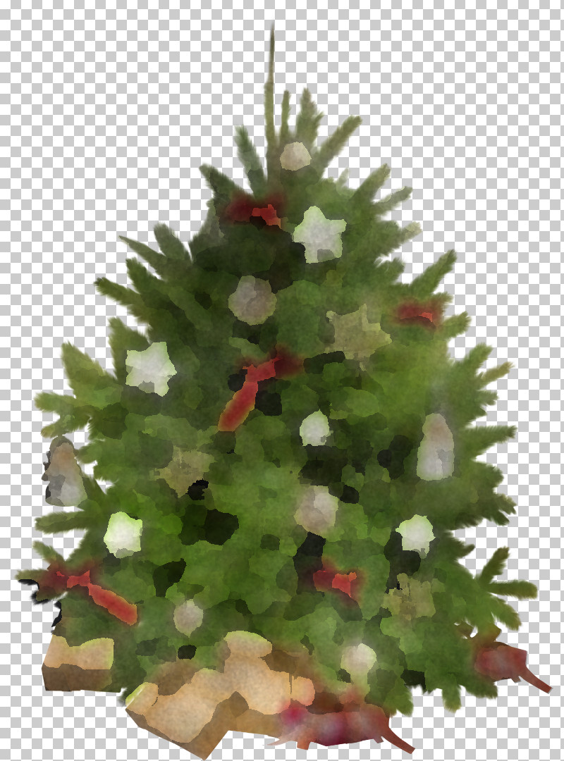 Christmas Tree PNG, Clipart, Branch, Christmas, Christmas Decoration, Christmas Ornament, Christmas Tree Free PNG Download