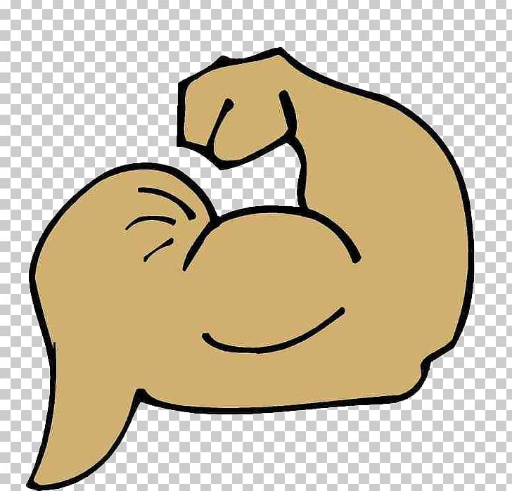 Muscle Arms Muscle Arms Biceps PNG, Clipart, Anatomy, Area, Arm, Arm Cartoon, Arm Clipart Free PNG Download