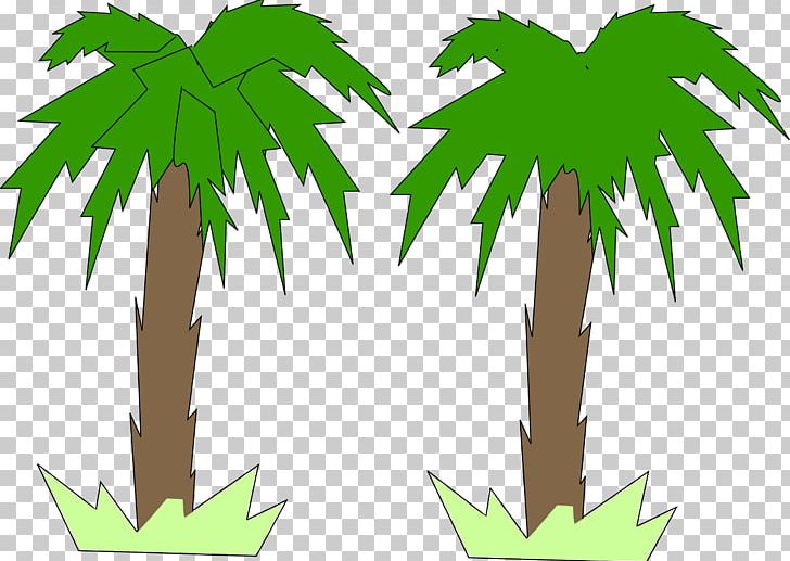 Arecaceae Tree Two-dimensional Space PNG, Clipart, 2d Computer Graphics, Arecaceae, Arecales, Branch, Coconut Free PNG Download