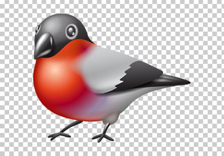 Bird Computer Icons Bullfinch PNG, Clipart, Animals, Beak, Bird, Bullfinch, Computer Icons Free PNG Download
