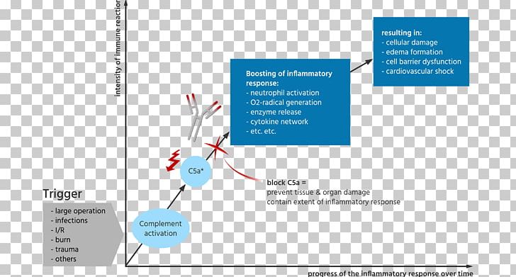 Complement Component 5a Complement System Inflammation C5a Receptor PNG, Clipart, 5 A, Acute, Brand, C 5, C5a Receptor Free PNG Download