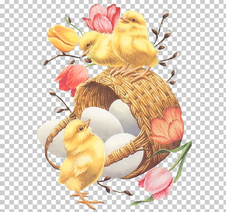 Easter Wish Party Greeting Card Happiness PNG, Clipart, Chicken, Chickens, Clipart, Easter, Easter Basket Free PNG Download