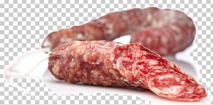 Salami Embutido Black Iberian Pig Iberian Peninsula Mettwurst PNG, Clipart, Animal Source Foods, Beef, Bratwurst, Breakfast Sausage, Cervelat Free PNG Download