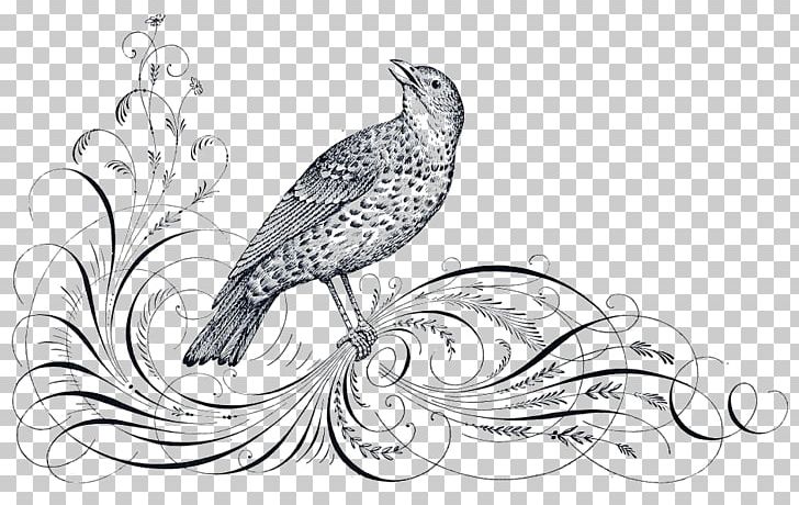 Westminster Tattoo Company Calligraphy PNG, Clipart, Art, Art Exhibition, Art Film, Artwork, Beak Free PNG Download