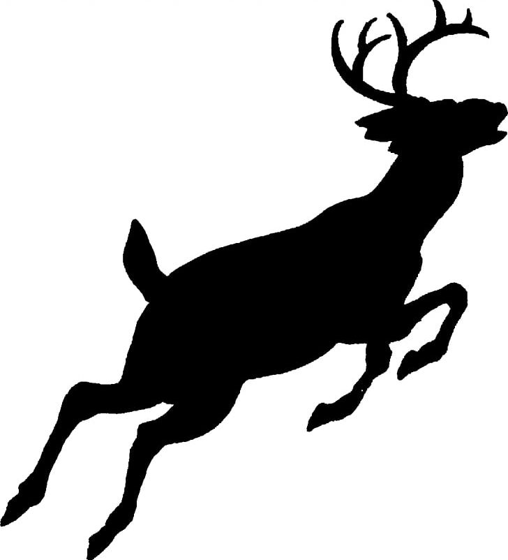 White-tailed Deer Silhouette Red Deer PNG, Clipart, Antler, Black And White, Deer, Deer Hunting, Drawing Free PNG Download