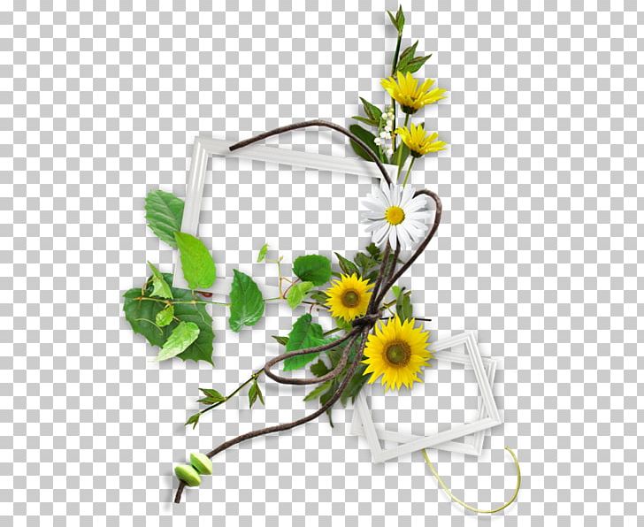 Chrysanthemum PNG, Clipart, Artificial Flower, Daisy Family, Electronic Visual Display, Encapsulated Postscript, Flower Free PNG Download