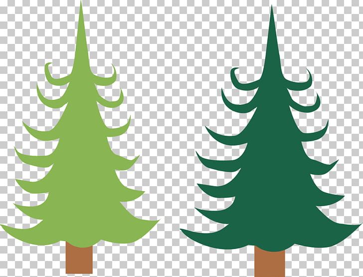 Fir Spruce Christmas Ornament Christmas Tree Pine PNG, Clipart, Branch, Christmas, Christmas Decoration, Christmas Ornament, Christmas Tree Free PNG Download