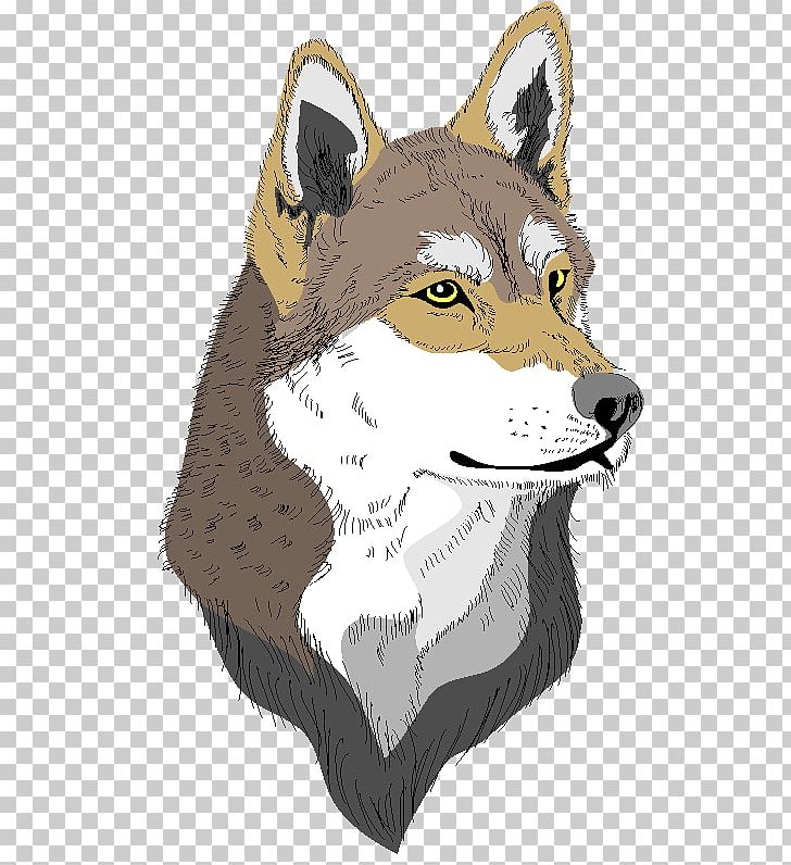 Red Fox Gray Wolf Coyote Red Wolf Jackal PNG, Clipart, Carnivoran, Cartoon, Coyote, Dog Like Mammal, Fauna Free PNG Download