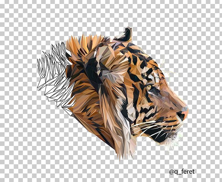 Tiger Sony KD-49XE7005 PNG, Clipart, Animals, Big Cats, Carnivoran, Cat Like Mammal, Drawing Free PNG Download