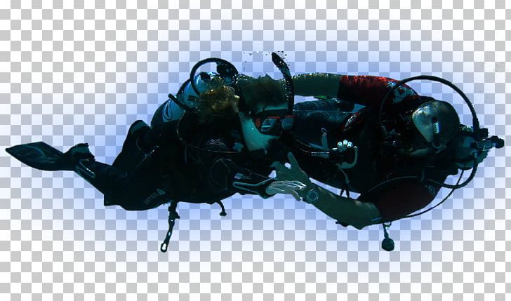 Beetle Buoyancy Compensators Scarab Insect PNG, Clipart, Animals, Arthropod, Beetle, Buoyancy, Buoyancy Compensator Free PNG Download