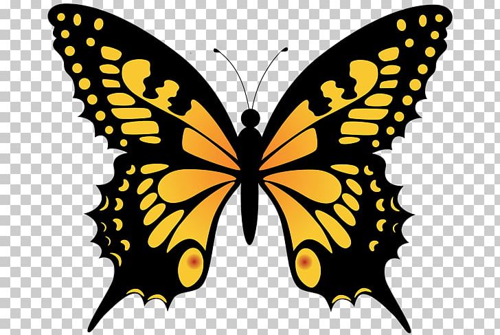 Monarch Butterfly PNG, Clipart, Arthropod, Artikel, Black And White, Brush Footed Butterfly, Butterfly Free PNG Download