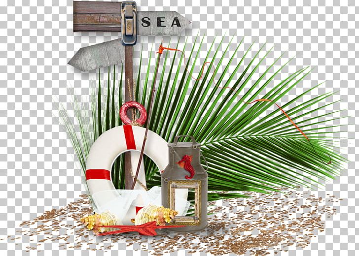Sea Crociera PNG, Clipart, Breaking Wave, Collage, Crociera, Flower, Material Free PNG Download