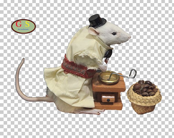 Computer Mouse PNG, Clipart, Computer Mouse, Electronics, Humor, Mouse, Muridae Free PNG Download