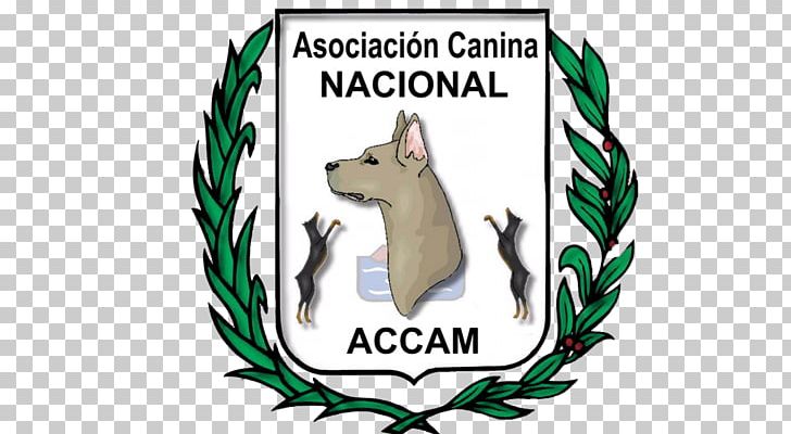 Dog Asociacion Canina Nacional ACCAM Canidae Purebred Molina De Segura PNG, Clipart, Animals, Brand, Canidae, Canine Tooth, Carnivoran Free PNG Download