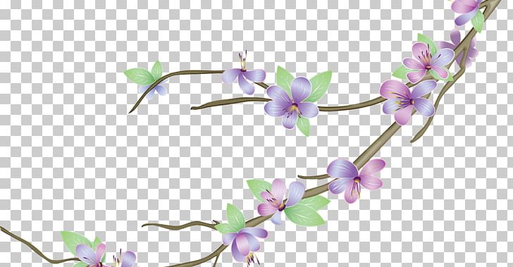 Photography PNG, Clipart, Blossom, Body Jewelry, Branch, Computer Graphics, Cut Flowers Free PNG Download