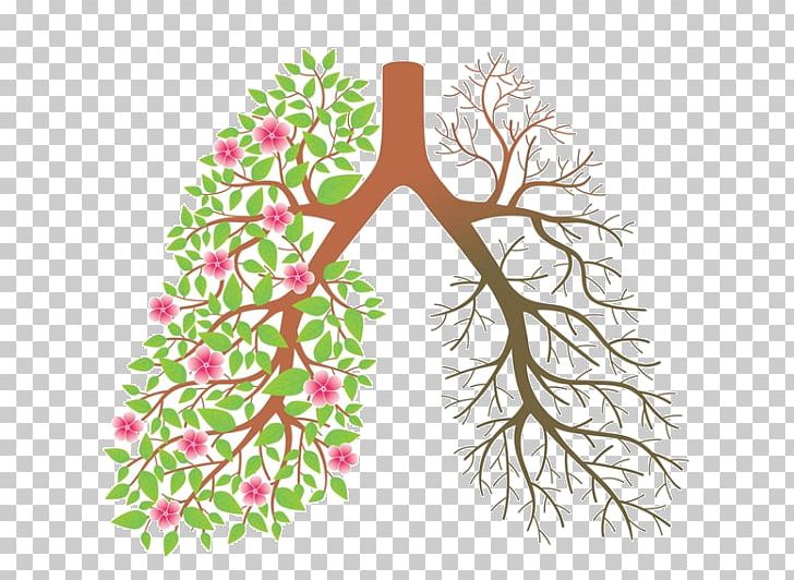 Smoking Cessation Lung Tobacco Smoking PNG, Clipart, Addiction, Area, Balloon Cartoon, Branch, Breathing Free PNG Download