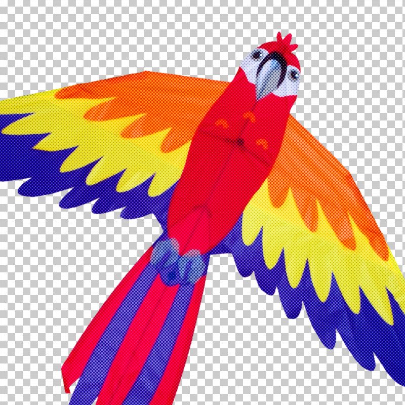 Feather PNG, Clipart, Beak, Bird, Feather, Macaw, Parrot Free PNG Download