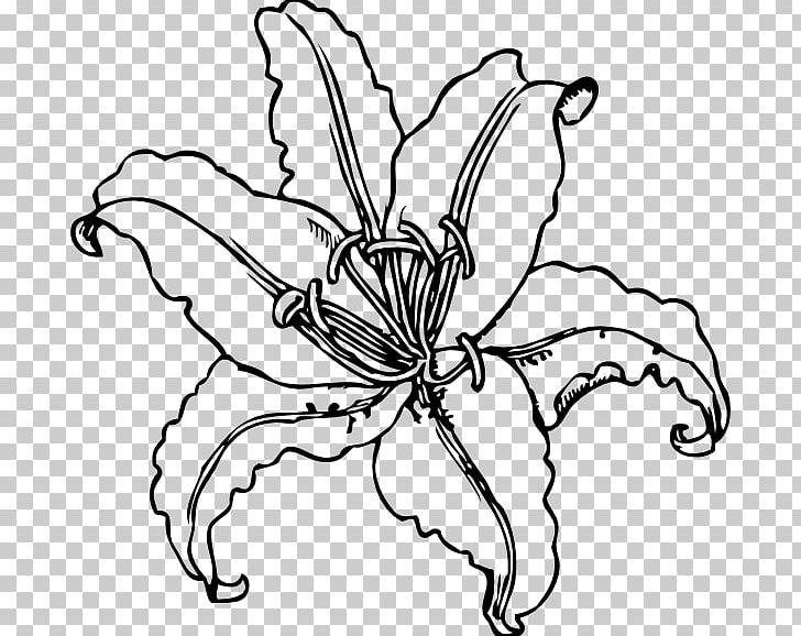 Easter Lily Tiger Lily Lilium Stargazer PNG, Clipart, Black, Black And White, Calla Lily Stencil, Document, Download Free PNG Download