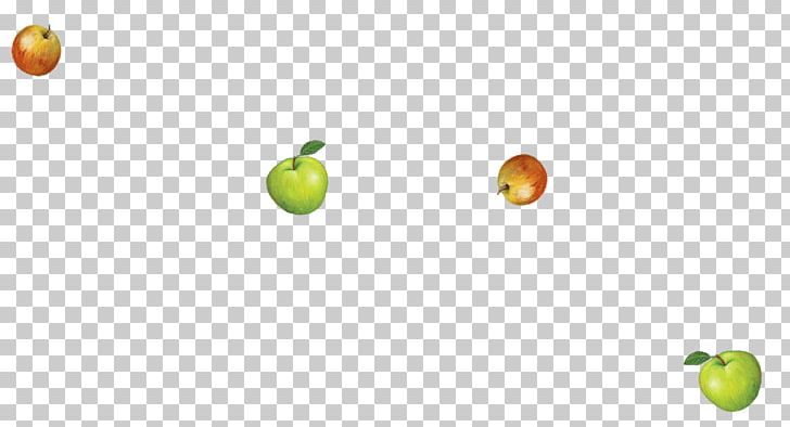 Granny Smith Desktop Citrus Apple Computer PNG, Clipart, Apple, Apple Juice, Citrus, Computer, Computer Wallpaper Free PNG Download