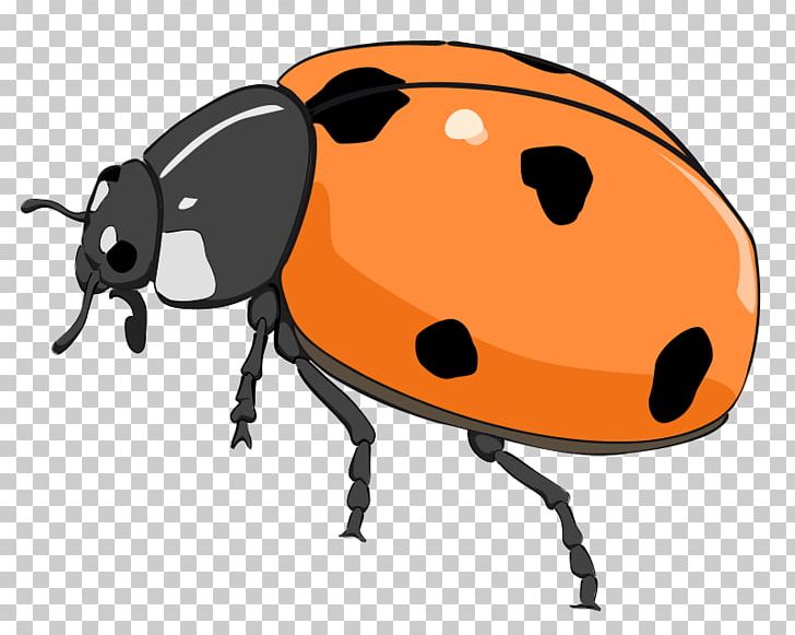 Beetle Ladybird Free Content PNG, Clipart, Arthropod, Artwork, Beetle, Blog, Cartoon Free PNG Download