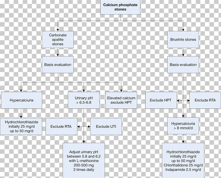 Document Line Angle PNG, Clipart, Angle, Area, Art, Brand, Diagram Free PNG Download