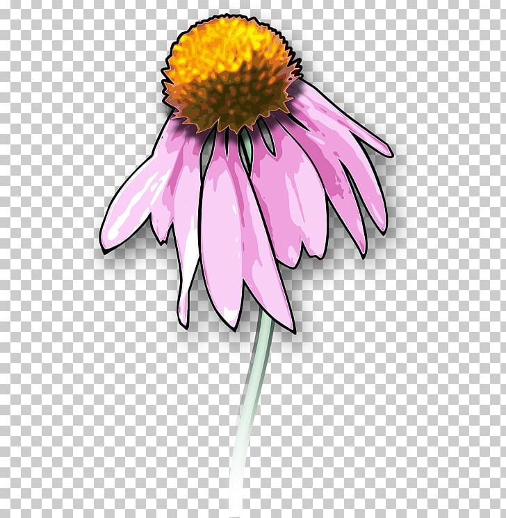 Drawing Death Open Graphics PNG, Clipart, Aster, Black Eyed Susan, Computer Icons, Coneflower, Cut Flowers Free PNG Download