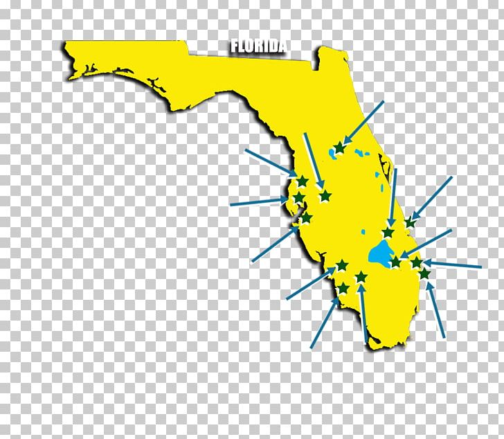 Everglades Miami Metropolitan Area Map PNG, Clipart, Angle, Area, Diagram, Everglades, Florida Free PNG Download