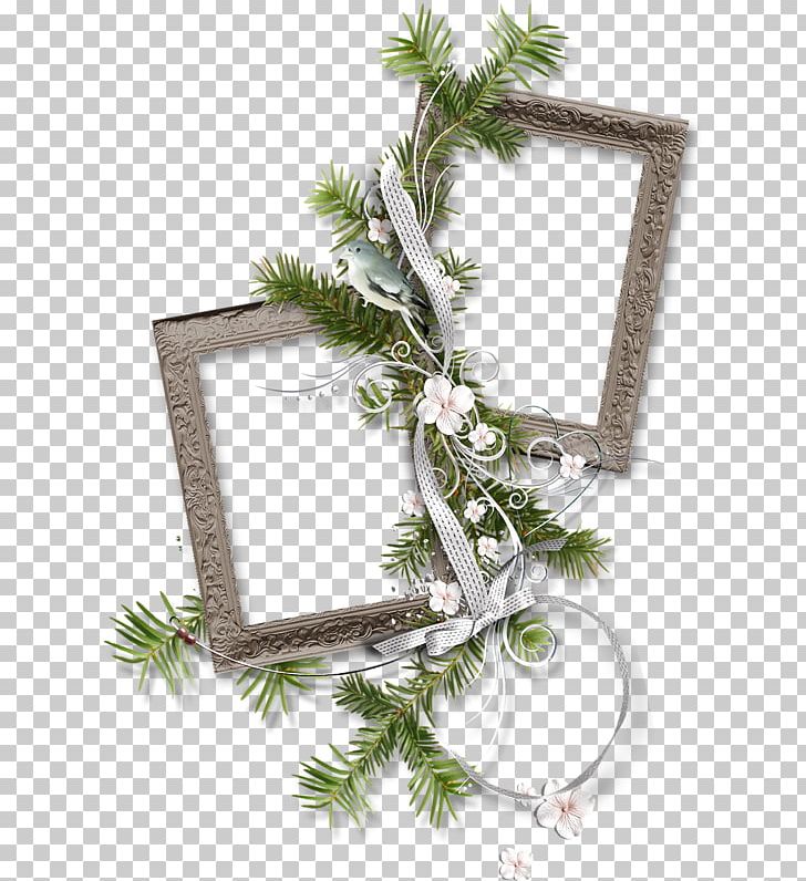 Photography Copyright Albom PNG, Clipart, Albom, Author, Branch, Christmas Decoration, Christmas Ornament Free PNG Download