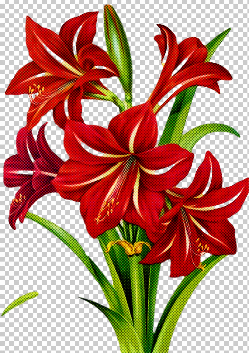 Floral Design PNG, Clipart, Amaryllis, Chrysanthemum, Cut Flowers, Daylilies, Floral Design Free PNG Download