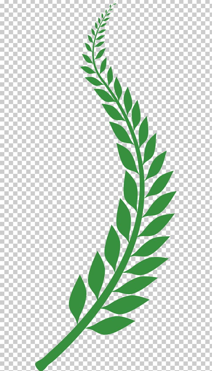 Laurel Wreath Bay Laurel PNG, Clipart, Artwork, Bay Laurel, Download, Encapsulated Postscript, Grass Free PNG Download