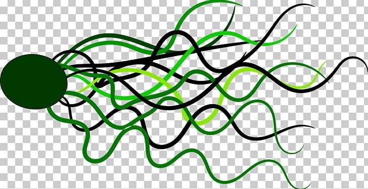 Line Green Circle PNG, Clipart, Angle, Area, Art, Blue, Branch Free PNG Download