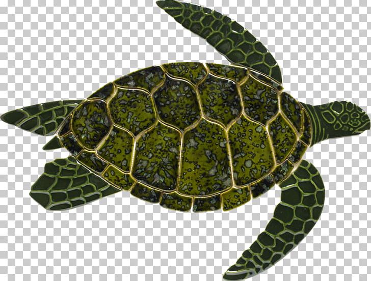 Loggerhead Sea Turtle Reptile Green Sea Turtle PNG, Clipart, Animal, Animals, Backyard, Caretta, Ceramic Free PNG Download